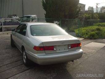 Camry Gracia