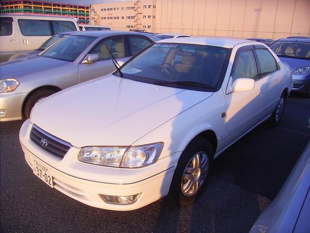 2001 Toyota Camry Gracia Pictures