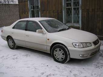 2001 Toyota Camry Gracia Pictures