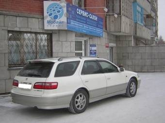 Toyota Camry Gracia Wagon