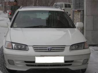 Toyota Camry Gracia Wagon