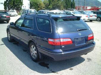 Camry Gracia Wagon