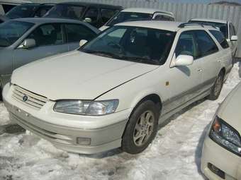 Camry Gracia Wagon