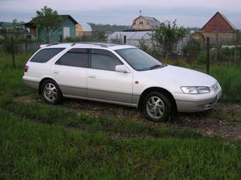 Camry Gracia Wagon