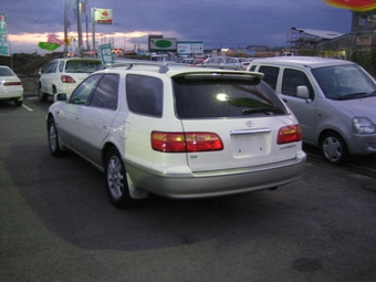 Camry Gracia Wagon