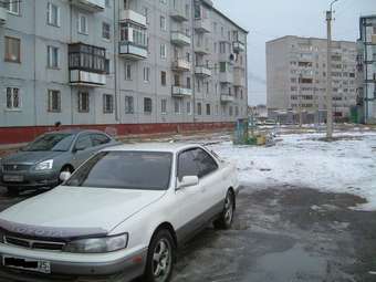 Camry Prominent