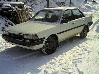 1987 Carina