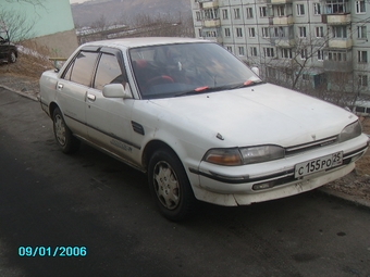 Carina
