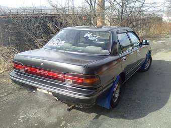 1989 Carina
