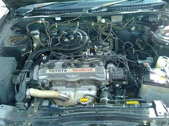 Toyota Carina