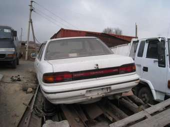 Carina