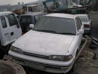 1989 Carina