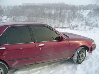 1989 Carina