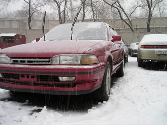 1990 Carina