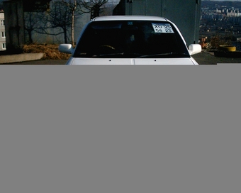 1991 Carina
