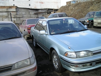 Carina