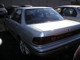 1991 Carina