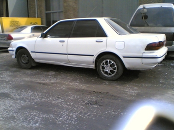 1991 Carina