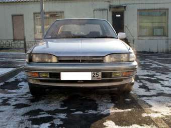 Carina