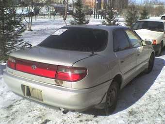 1992 Carina