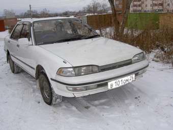 Carina