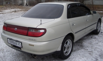 Carina