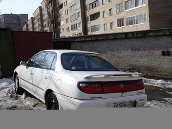 1993 Carina