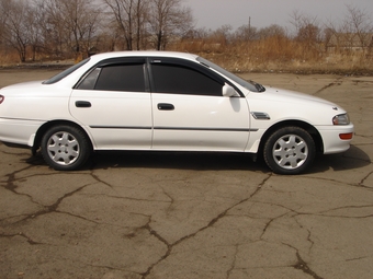 Carina