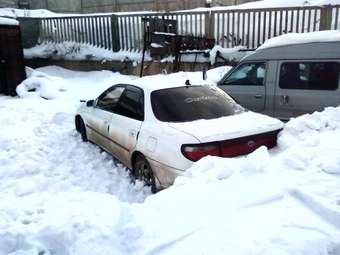 1993 Carina