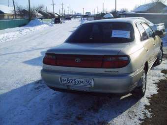 1993 Carina