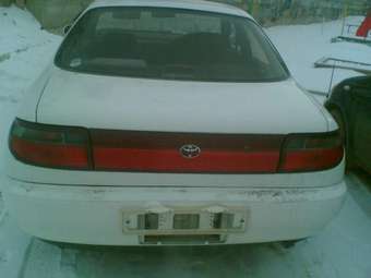 1993 Carina