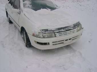 1993 Carina