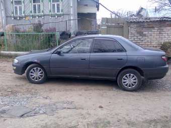 1993 Carina