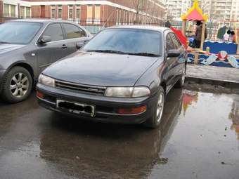 Toyota Carina