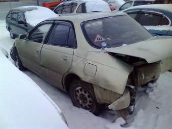 Toyota Carina