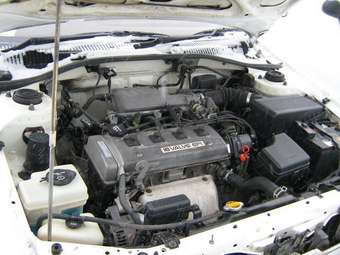1993 Carina