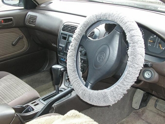 1994 Carina