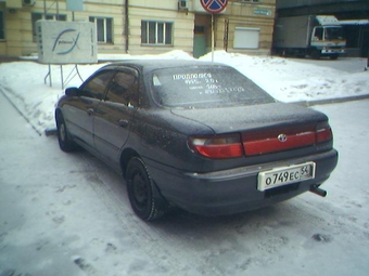 Carina