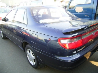 1995 Carina