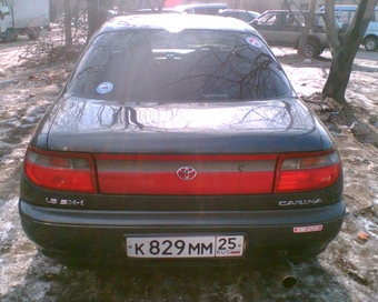 Carina