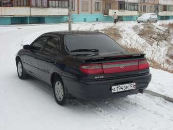 1995 Carina