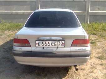 Carina