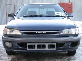 Carina