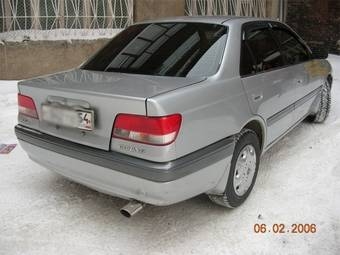 Carina