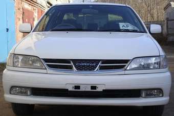 2001 Toyota Carina Pictures