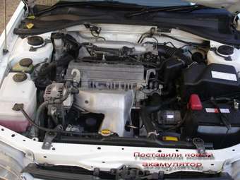 2001 Toyota Carina Wallpapers