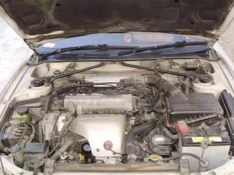 Toyota Carina ED