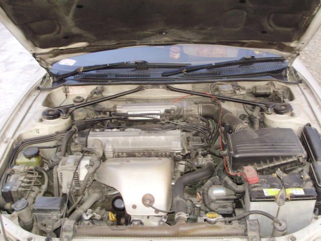 1995 Toyota Carina ED