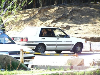 1985 Toyota Corolla