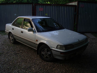 1987 Toyota Corolla Pictures